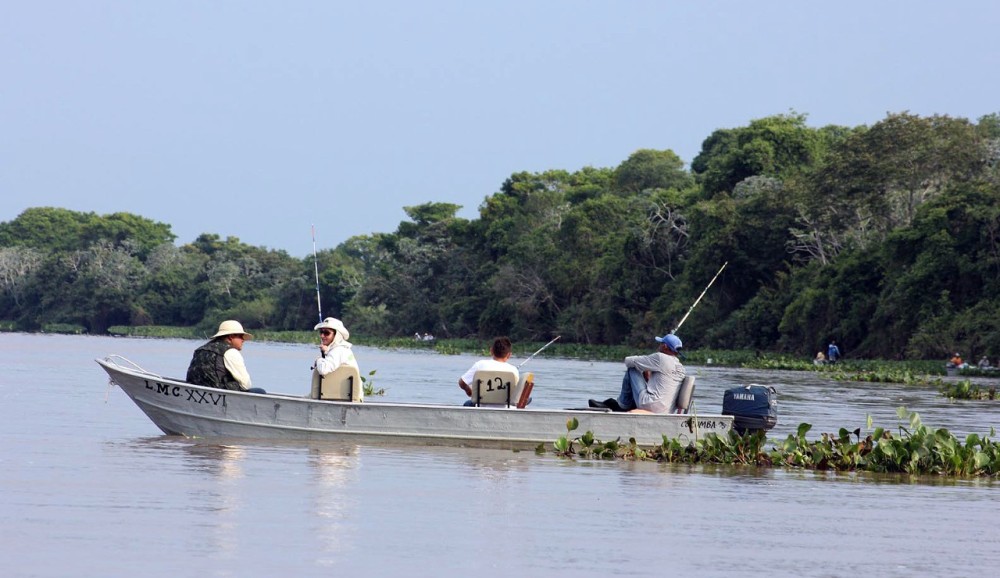 Fevereiro tem pesque e solte no Pantanal e Corumbá oferece a melhor estrutura
