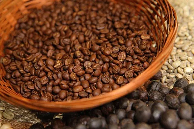 Dados de exportação demonstram força do café brasileiro