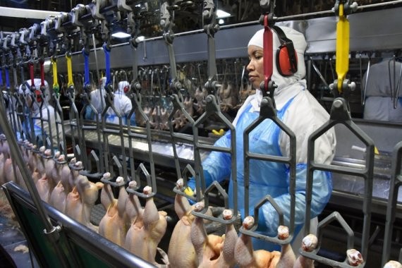 Produção industrial seguiu estável na maioria das empresas de MS em dezembro