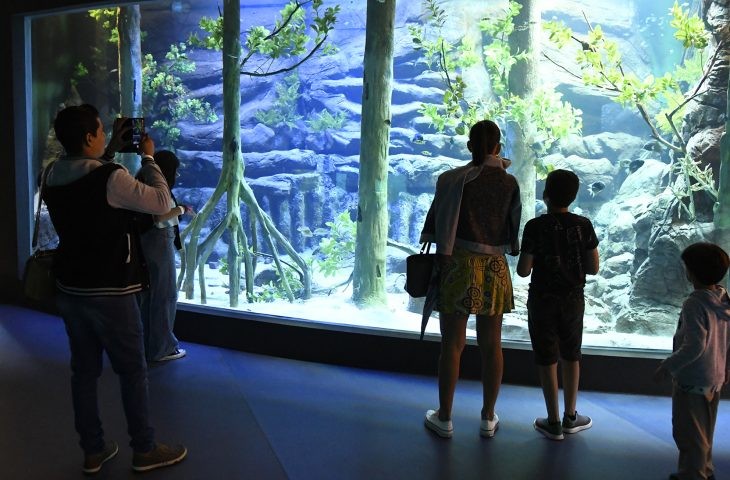 Bioparque Pantanal define funcionamento durante o Carnaval; agendamento começa hoje