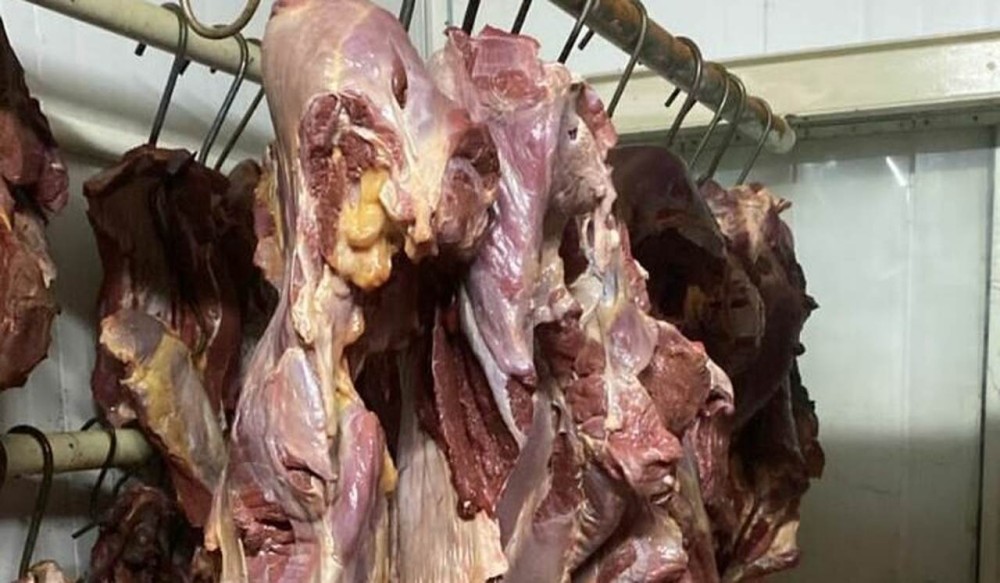 Autoridades paraguaias apreendem carne de cavalo que estava sendo vendida em açougues