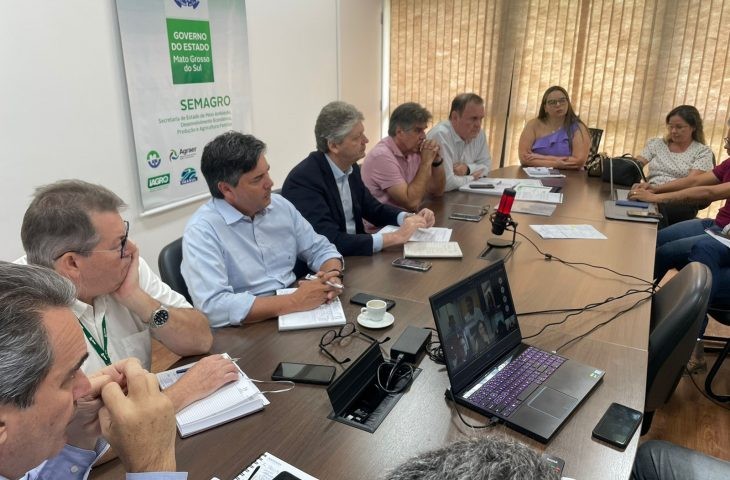 MS e União intensificam vigilância na fronteira com a Bolívia para prevenir gripe aviária