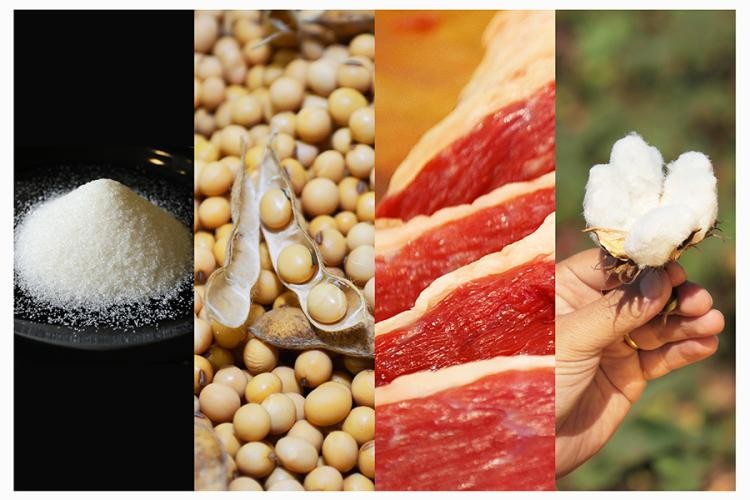 Boletim USDA monitora evolução da produção e exportação de commodities