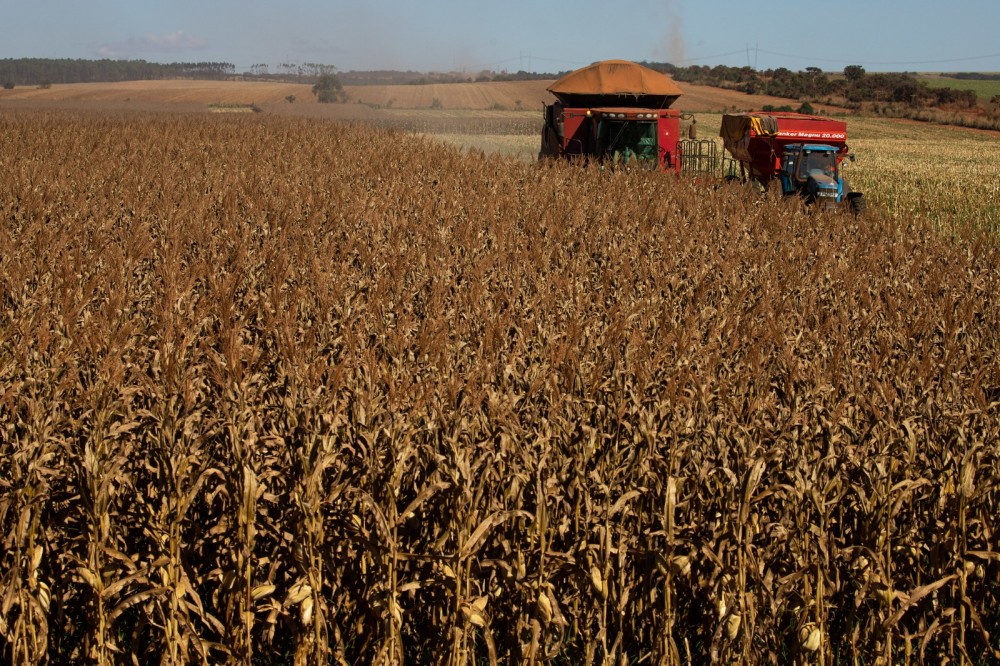Fertilizantes tem redução de 25% no preço médio em MS