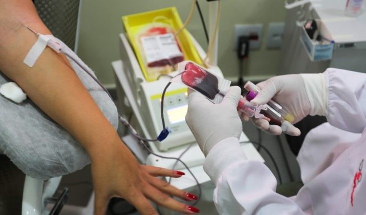 Urgente: Hemosul precisa de doação dos tipos O- e O+