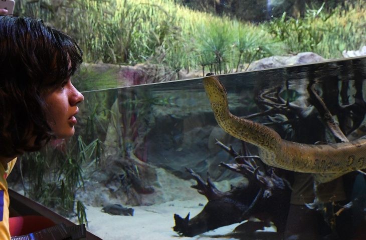 Semana Santa: Bioparque Pantanal estará fechado de quinta-feira a domingo