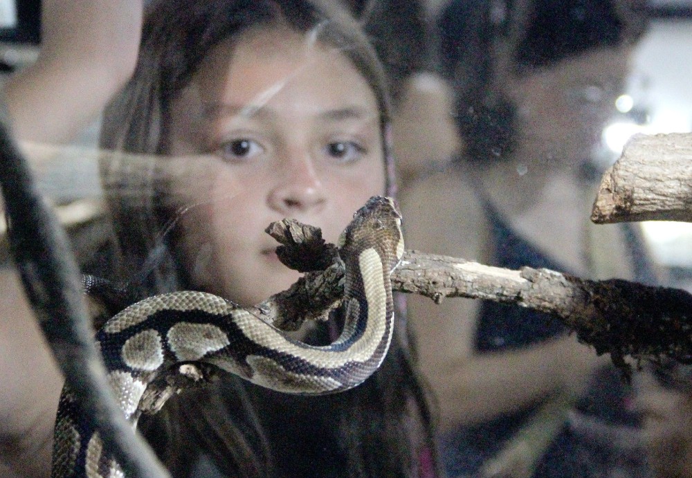 Galeria de fotos: Projeto Jiboia é um passeio noturno para todas as idades em Bonito