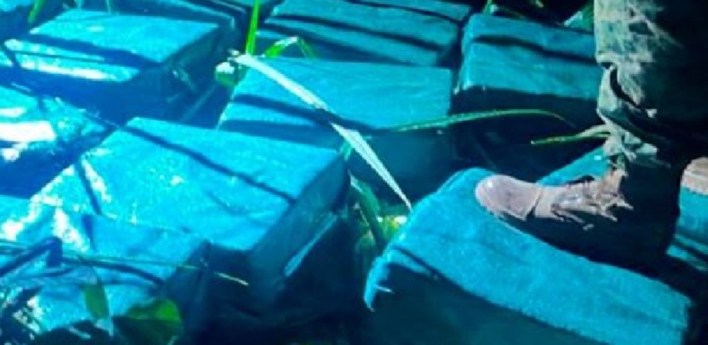 Mais de meia tonelada de cocaína é apreendida no Pantanal