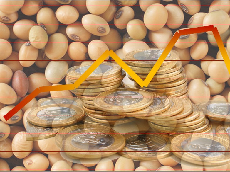 O que esperar do mercado de soja nesta semana?