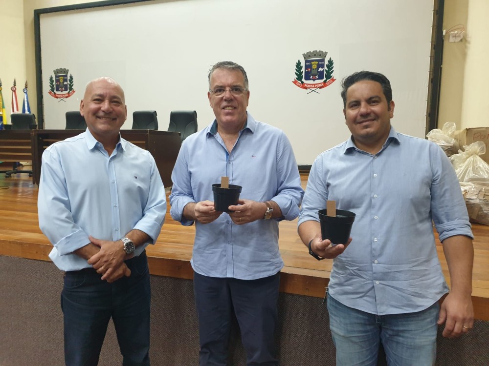 Ponta Porã usará nova arma de combate ao Aedes Aegypti