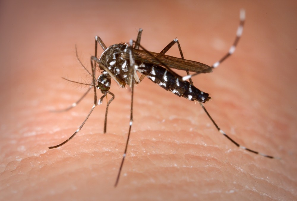 Saúde lança campanha após aumento da Dengue, Zika e Chikungunya