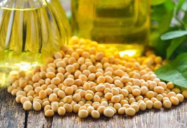 PIB da cadeia de soja e biodiesel representa 27% do PIB total do agro