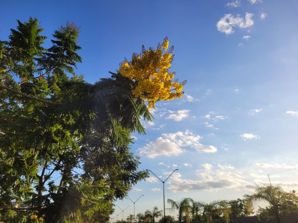 Semana no Estado será marcada por temperaturas mais baixas e tempo seco