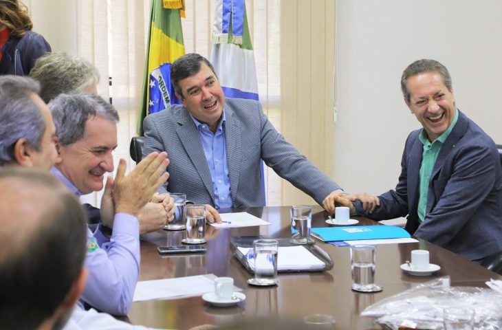 Desenvolvimento: investimentos privados na cadeia suína podem chegar a R$ 1 bi em MS