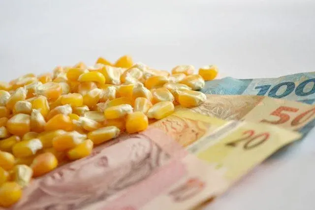Plano Safra fará agricultura empresarial 'sangrar', diz IBDAgro