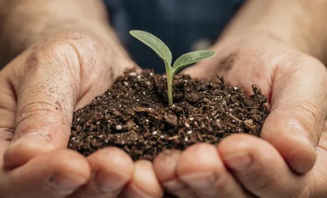 Guia prático de finanças sustentáveis no agro é lançado pelo Pacto Global da ONU