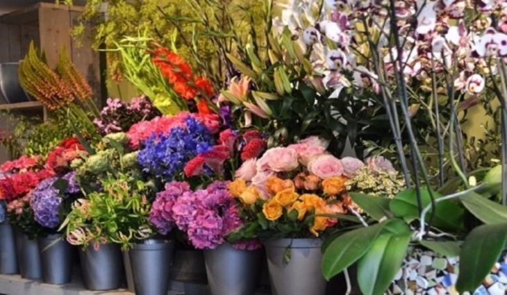 De flores a rodízio de pizzas, pesquisa indica variação de preços no Dia dos Namorados
