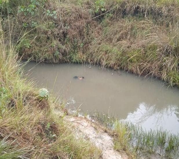 Jovem é encontrado morto em córrego de Sanga Puitã