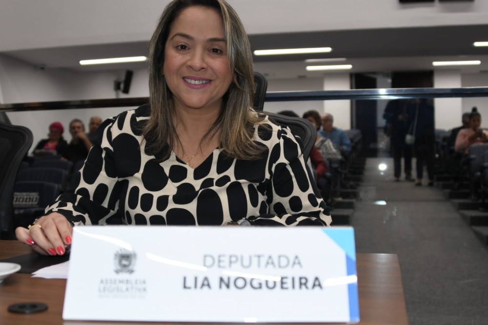 Ponte entre Nova Alvorada do Sul e Sidrolândia deve ser trocada, conforme Lia Nogueira