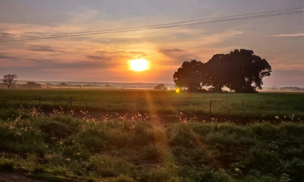 Domingo terá tempo quente e seco em Mato Grosso do Sul