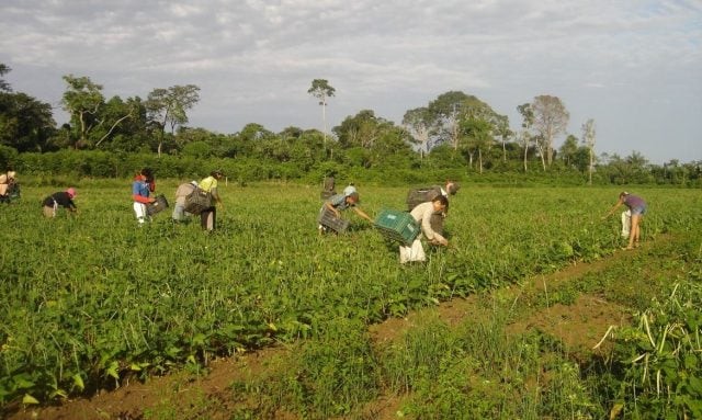 Prazo final para envio de propostas ao Programa de Aquisição de Alimentos é sexta-feira