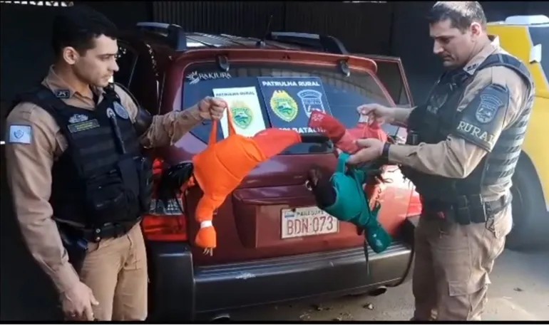 Paraguaios são presos com 
