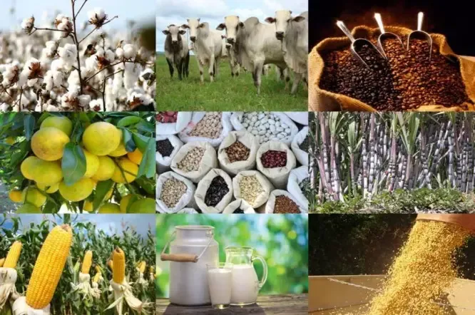 Governo quer retomar política do preço mínimo para produtos agrícolas