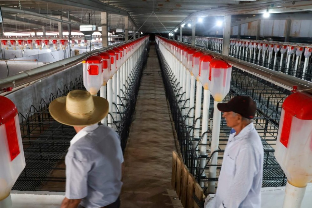 Granja reforça cadeia produtiva e aposta no sustentável em MS