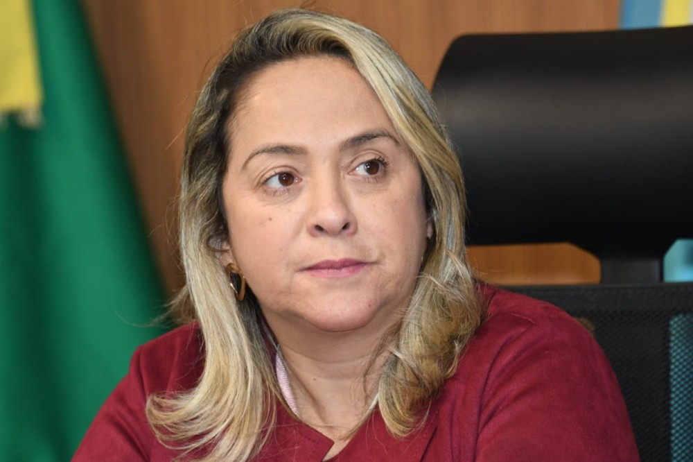 Lia Nogueira pede o recapeamento da MS-141 entre Ivinhema e Naviraí