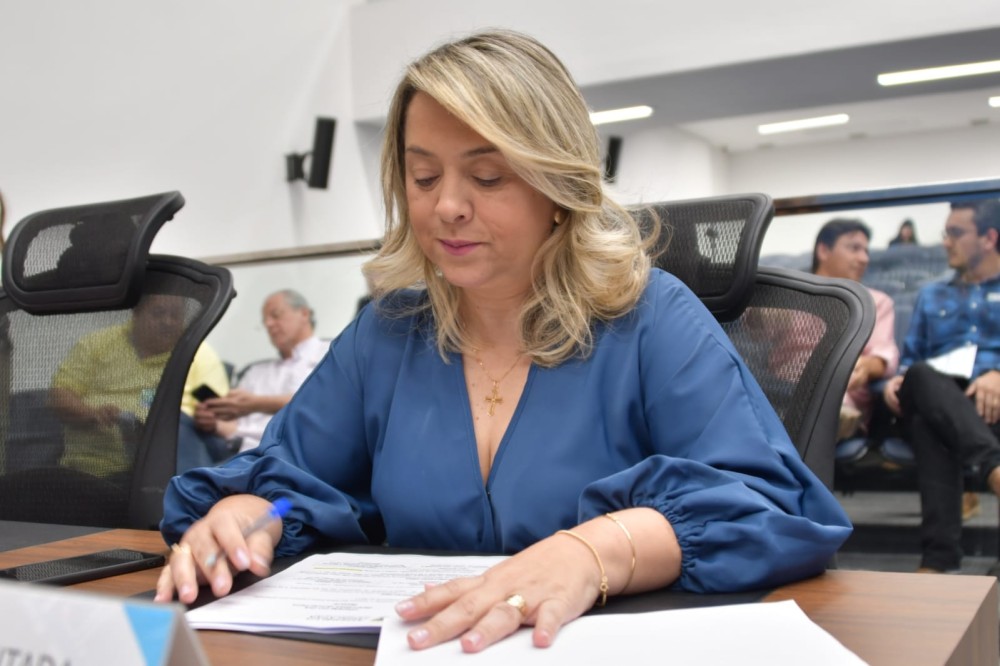Drenagem, Pavimentação e troca de ponte são solicitadas por Lia Nogueira