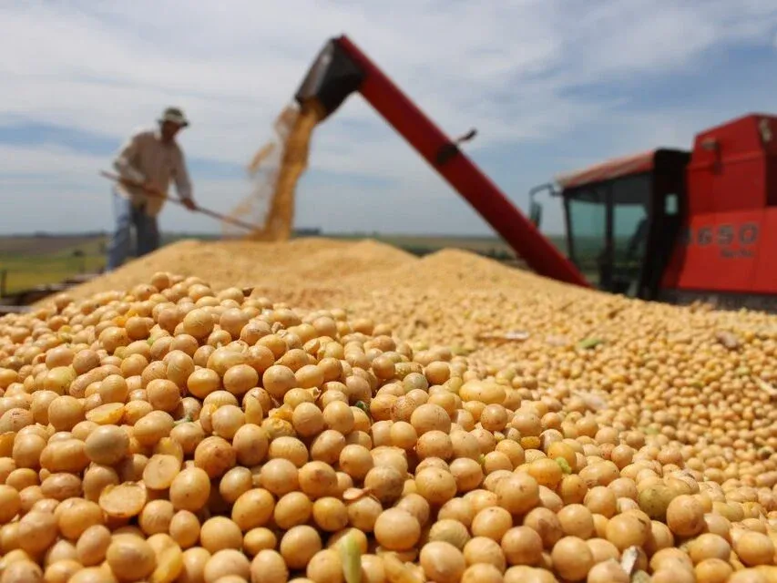 Produção de soja deve superar 156 milhões de toneladas, diz Abiove