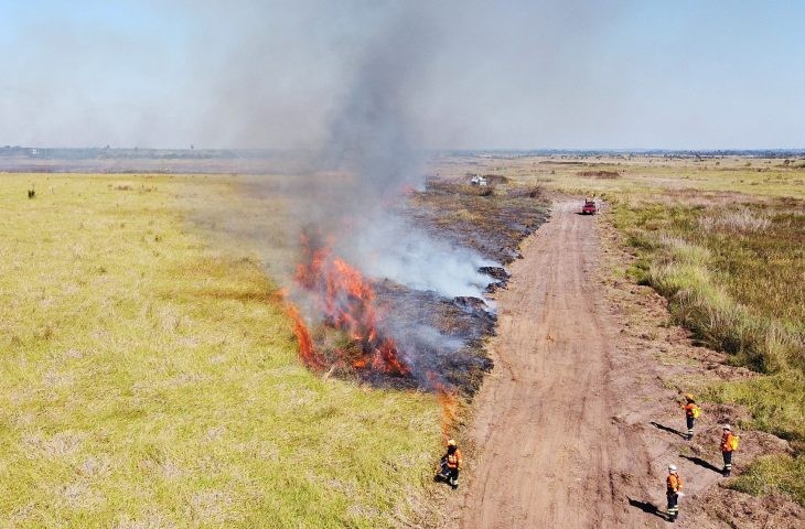 Estado a suspender queima controlada e decreta emergência ambiental até fim do ano