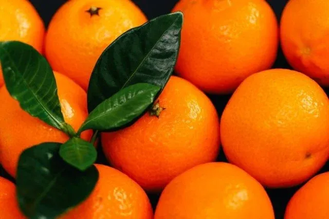Citros: preço da tangerina poncã tem recuperação no mercado