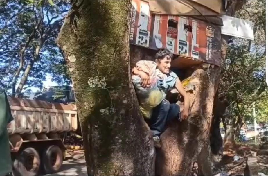 “Homem da Árvore” é despejado na Linha Internacional