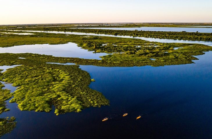 Pantanal tem 85% da área preservada e redução do desmatamento