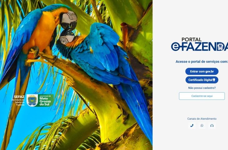 Novo portal E-Fazenda entra em operação nesta segunda-feira