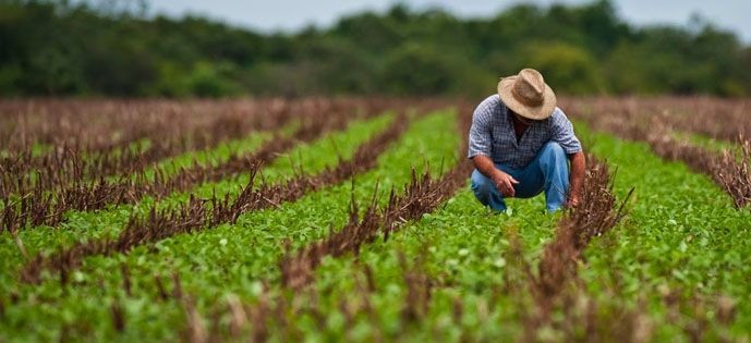 Número de trabalhadores atuando no agro bate recorde no Brasil