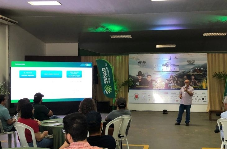 Cadeia produtiva da avicultura de MS cresce mesmo diante da ameaça da gripe aviária