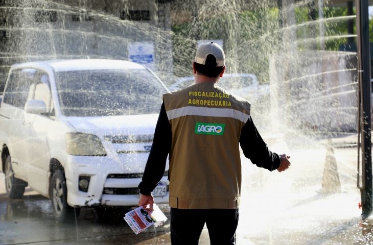 Governo reforça fiscalização sanitária após confirmação de foco de gripe aviária em MS