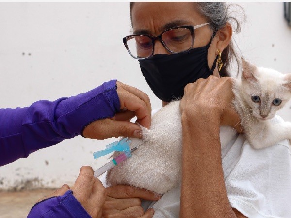 Zoonoses realiza vacinação antirrábica no sábado em Ponta Porã; confira os locais