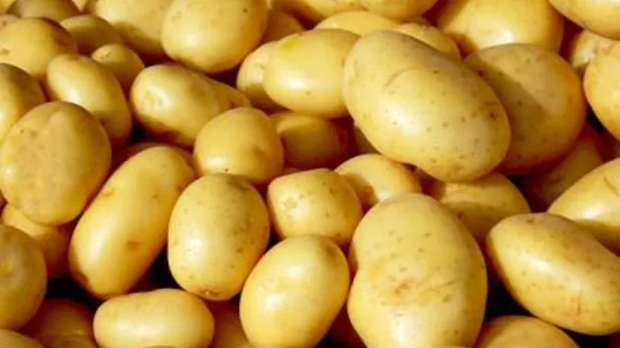 Batata: maior oferta pressiona cotações