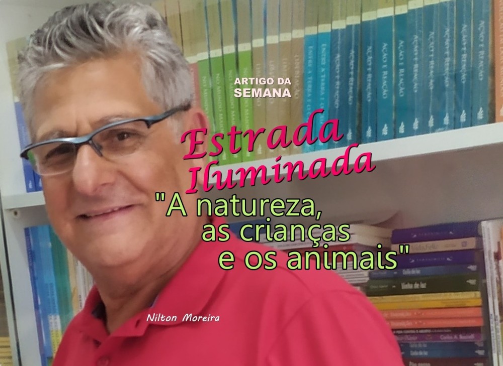 Estrada Imuminada: “A natureza, as crianças e os animais”