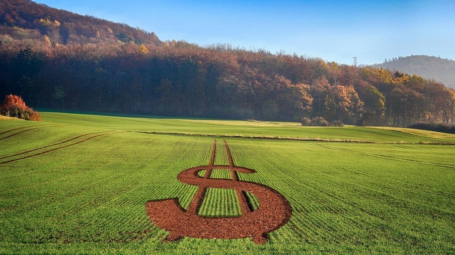 Agricultura criará plataforma para produtor relatar problemas de acesso a crédito