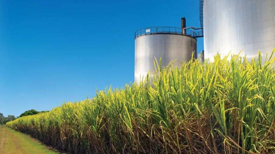 Conferência Internacional da Datagro discute potencial do etanol brasileiro