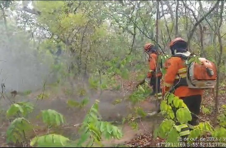 Bombeiros combatem incêndios há 4 dias no Pantanal