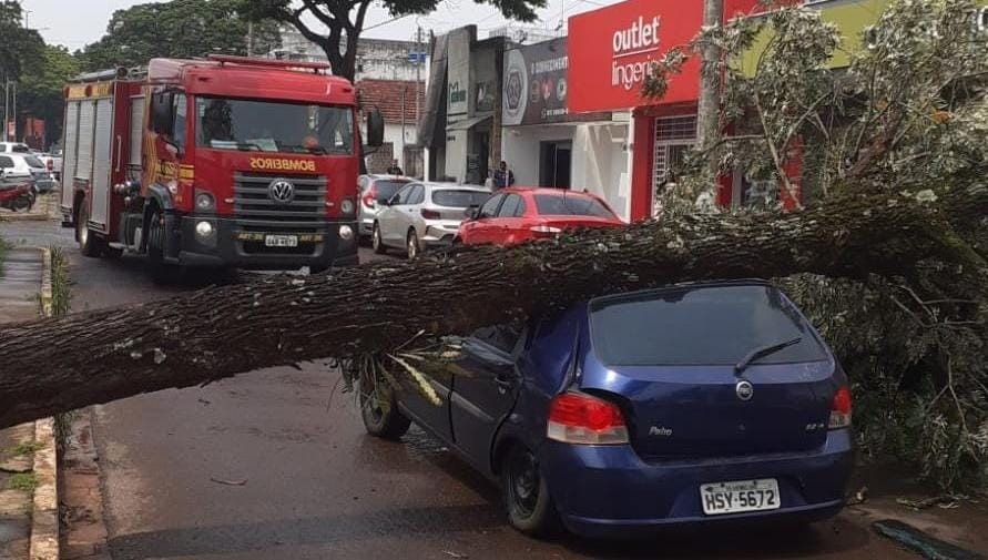 Ventania derruba árvores sobre veículos em ruas de Ponta Porã