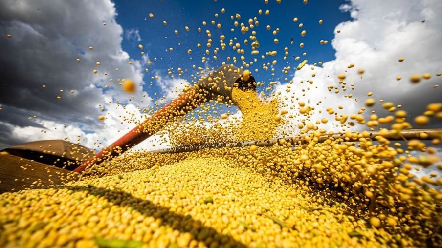 Soja: Veja como está o mercado brasileiro após o feriado