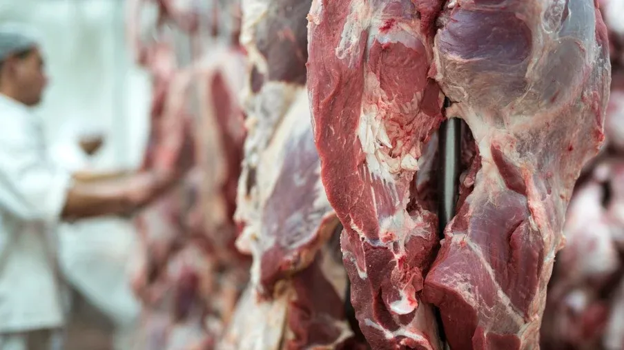 Carne bovina: Exportações registram bom ritmo no acumulado do ano