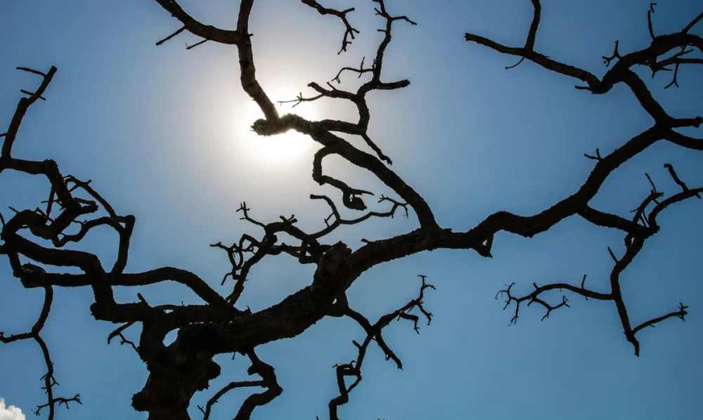 Brasil registra recorde da temperatura média pelo 4º mês seguido