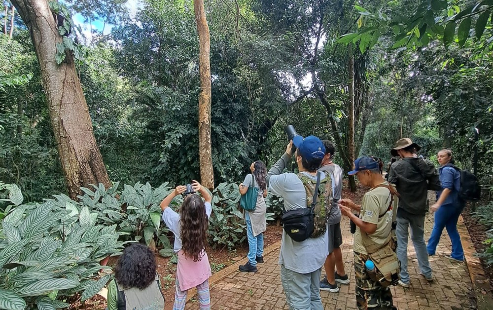 Rota Pantanal Bonito promove a observação de aves no feriado